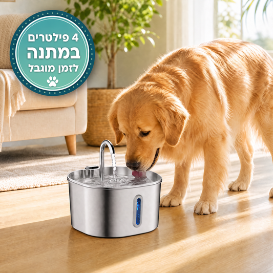 מזרקת המים החכמה והאוטומטית – SafeDrink