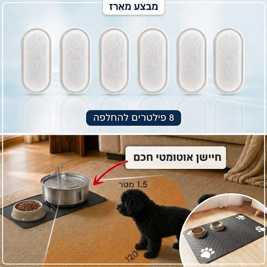 הערכה שסוגרת את כל הפינות! 🎁